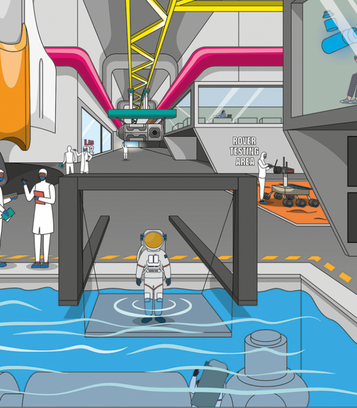 MSC Animation video grab